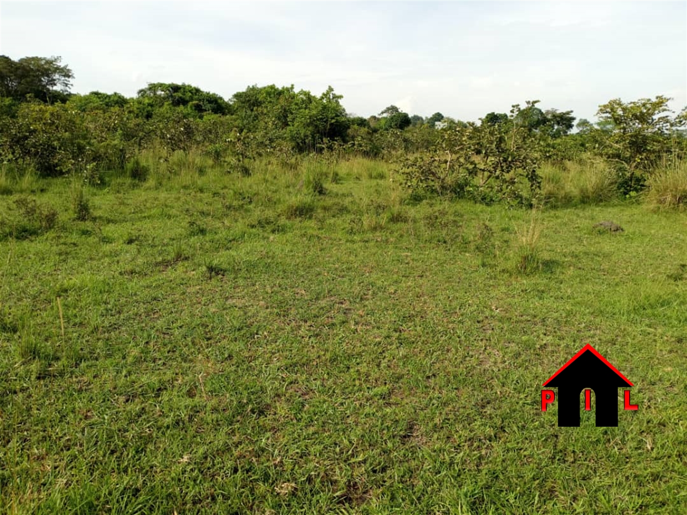 Agricultural Land for sale in Wabusaana Luweero