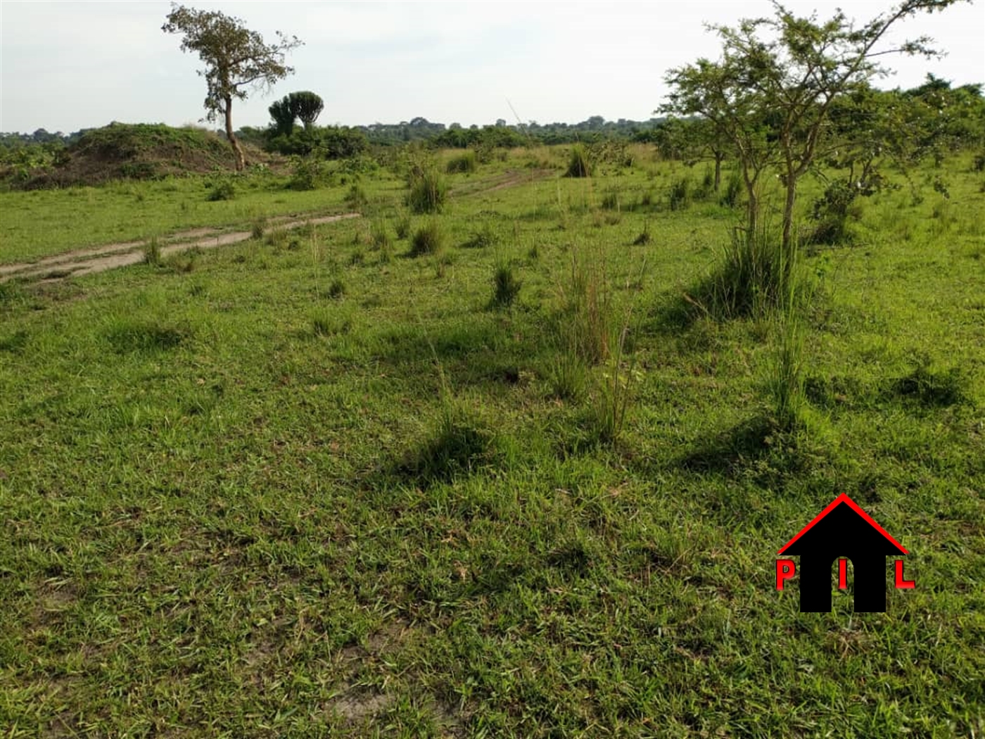 Agricultural Land for sale in Wabusaana Luwero