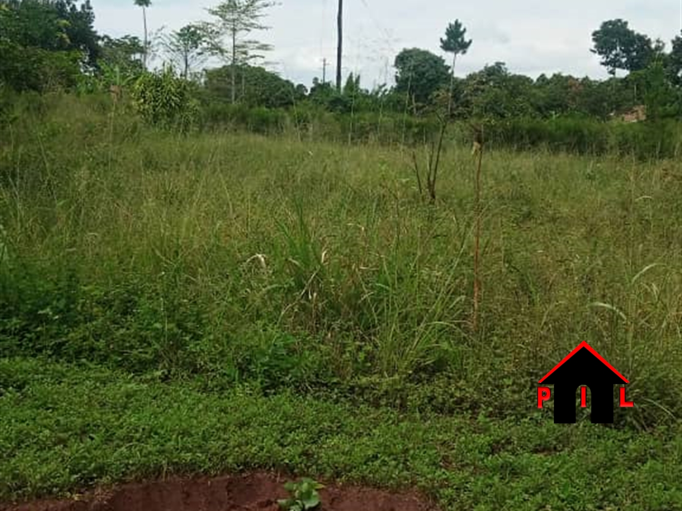 Agricultural Land for sale in Kakooge Nakasongola