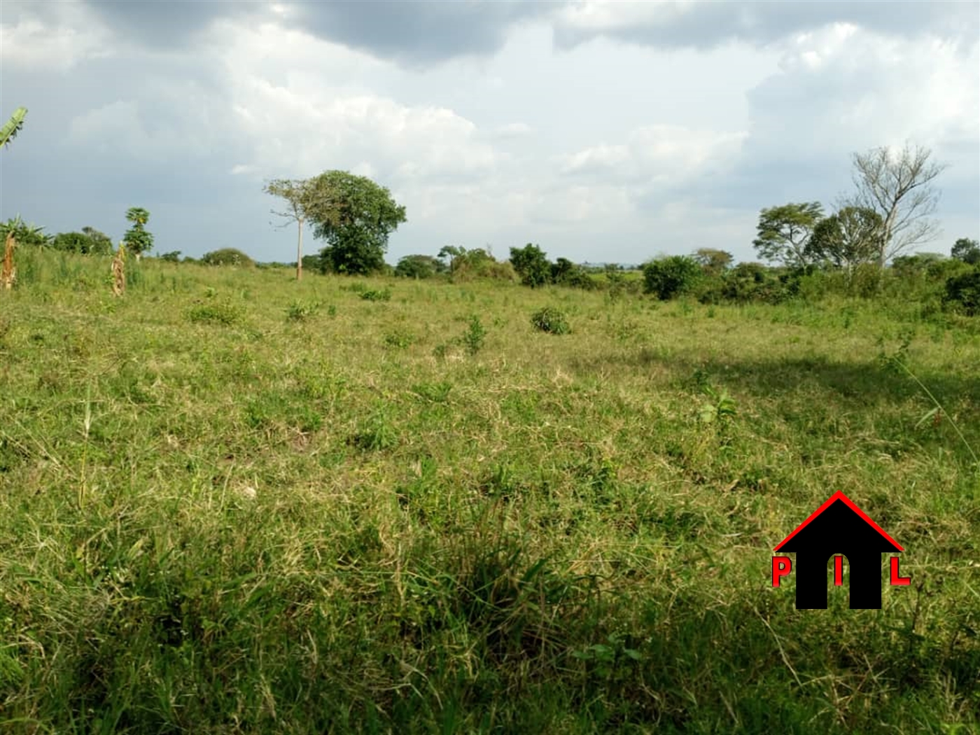 Agricultural Land for sale in Kikyuusa Luweero