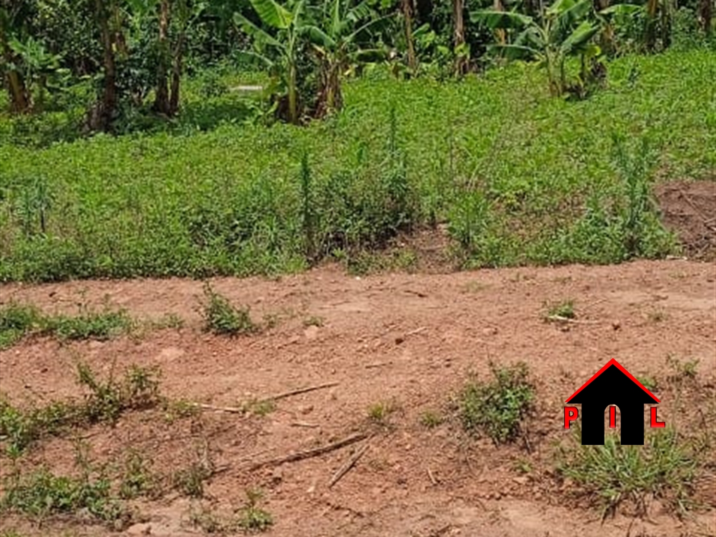 Agricultural Land for sale in Ndeeba Luweero