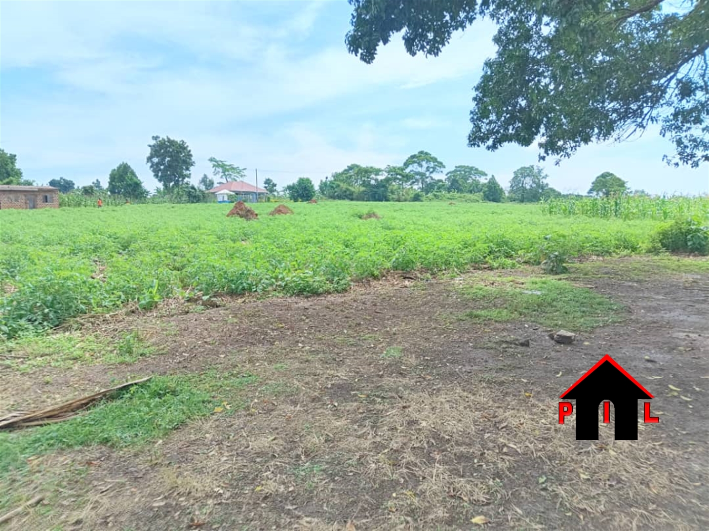 Commercial Land for sale in Mpoma Mukono