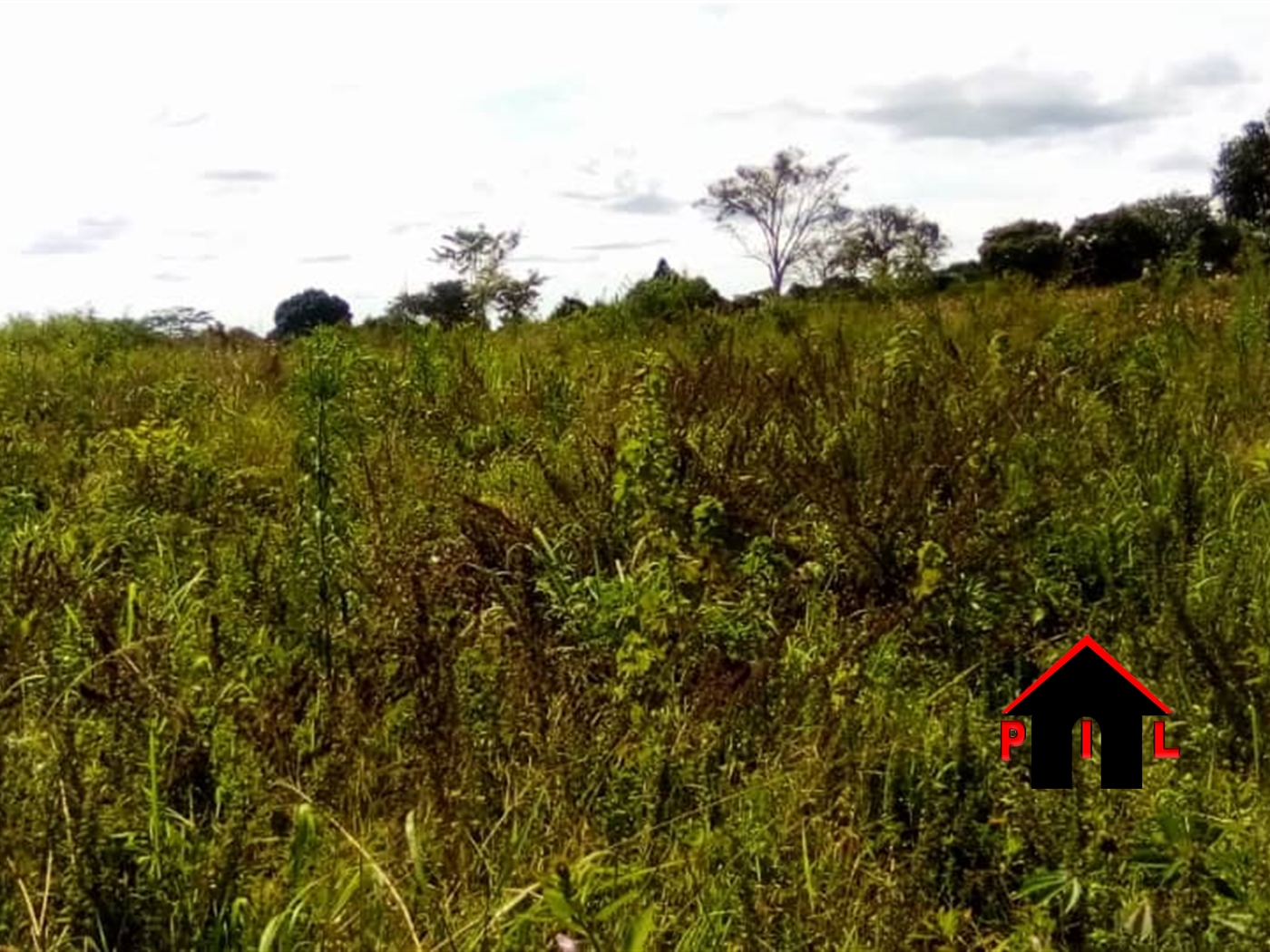 Agricultural Land for sale in Nakyesa Kayunga