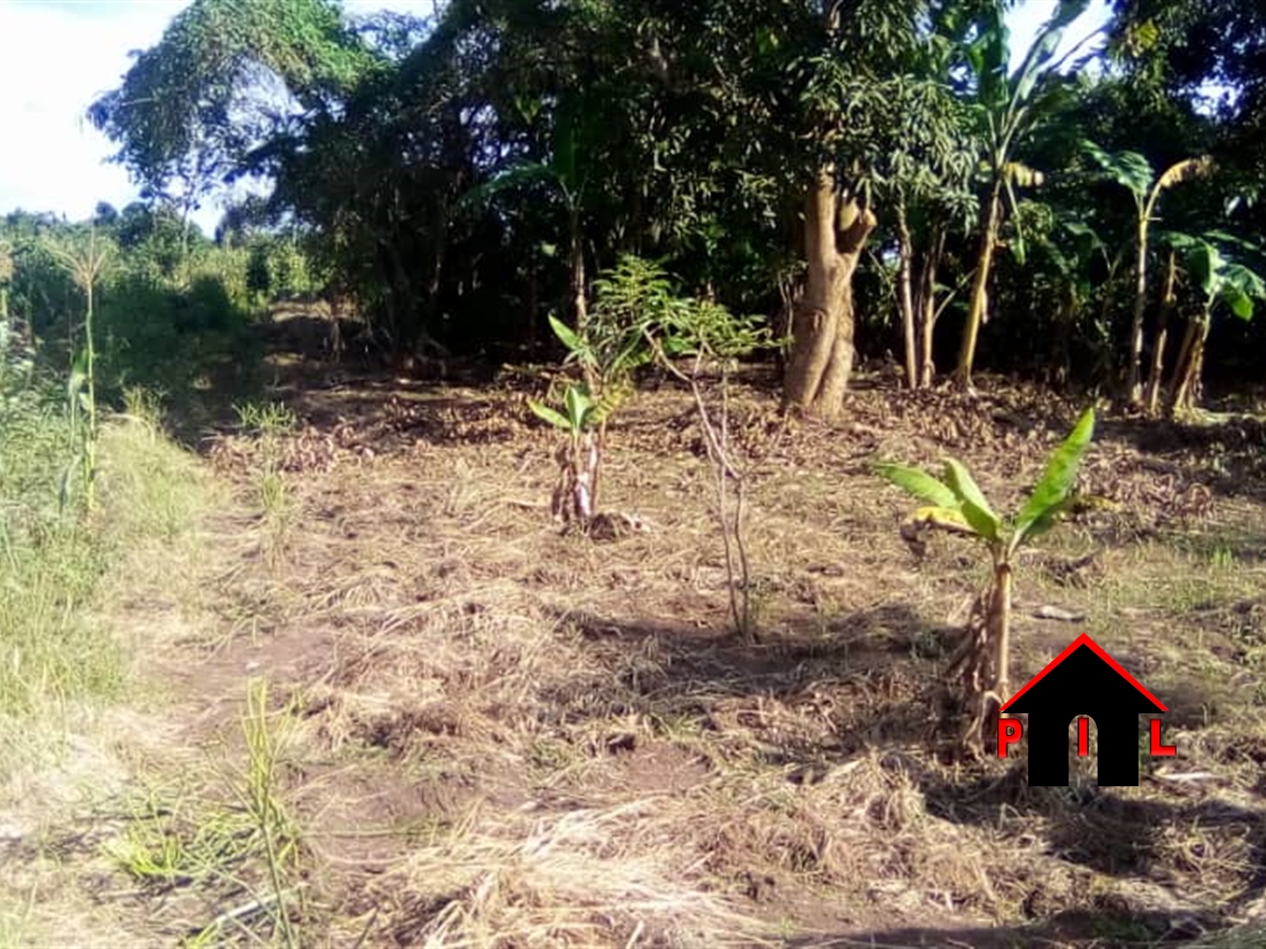 Agricultural Land for sale in Nakyesa Kayunga