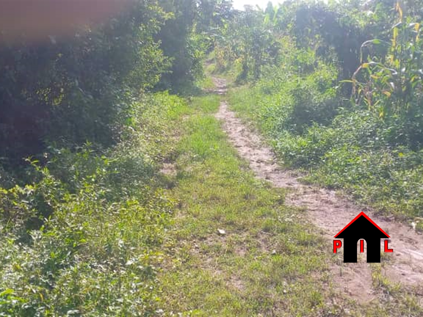 Commercial Land for sale in Bombo Luweero