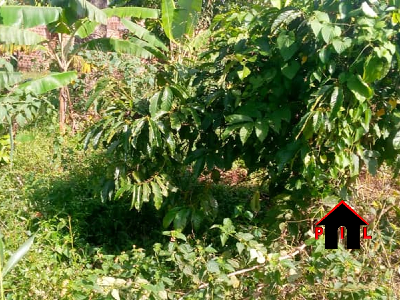 Commercial Land for sale in Bombo Luweero