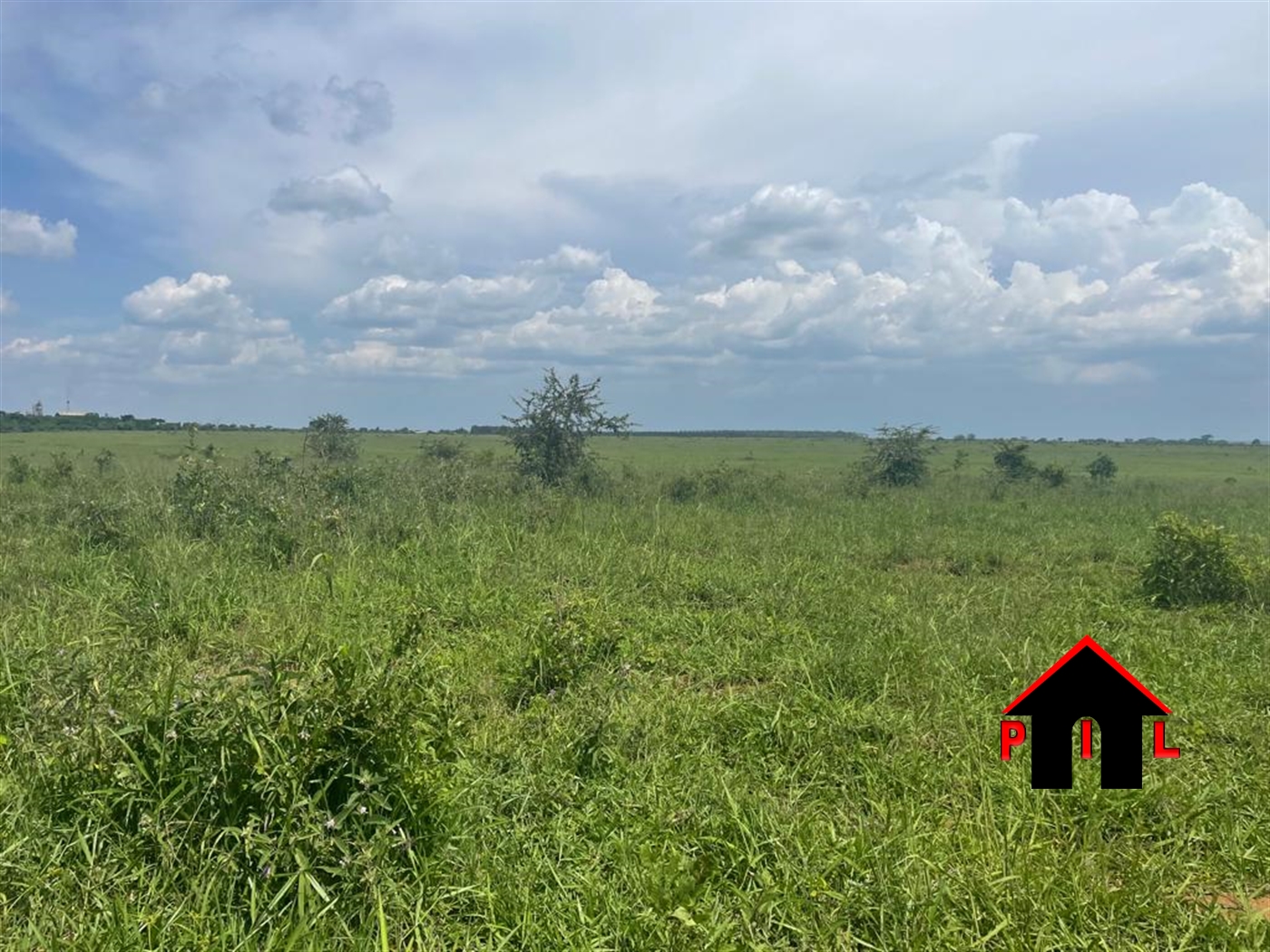 Agricultural Land for sale in Namasagali Kamuli