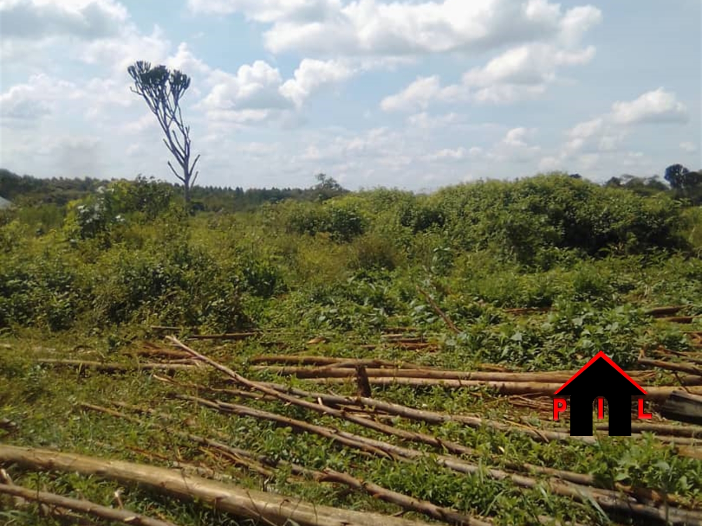 Agricultural Land for sale in Bulemenzi Luweero