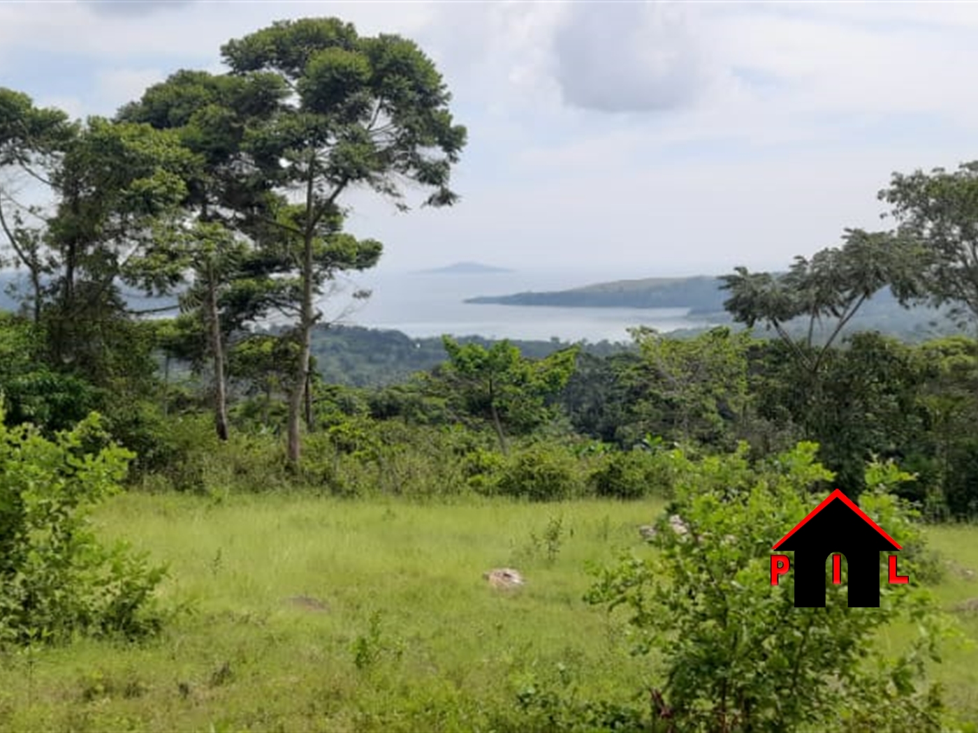 Agricultural Land for sale in Nkokonjeru Buyikwe