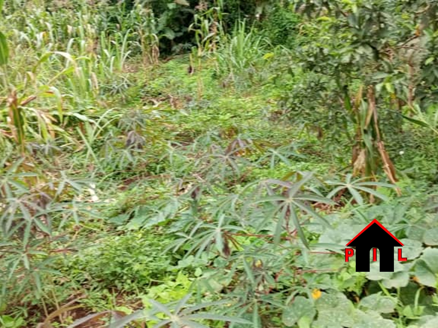 Commercial Land for sale in Kalagala Wakiso