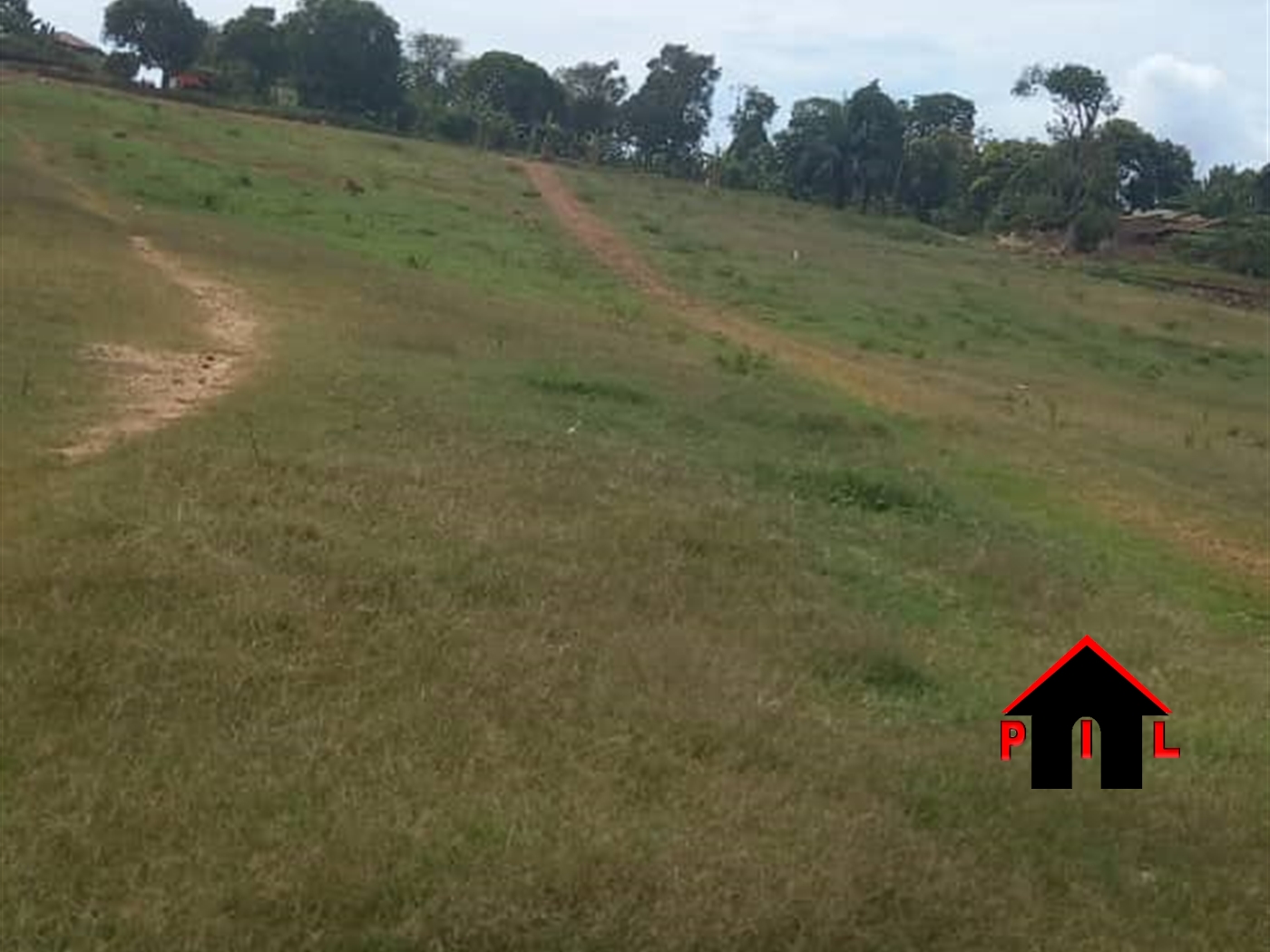 Commercial Land for sale in Nkumba Wakiso