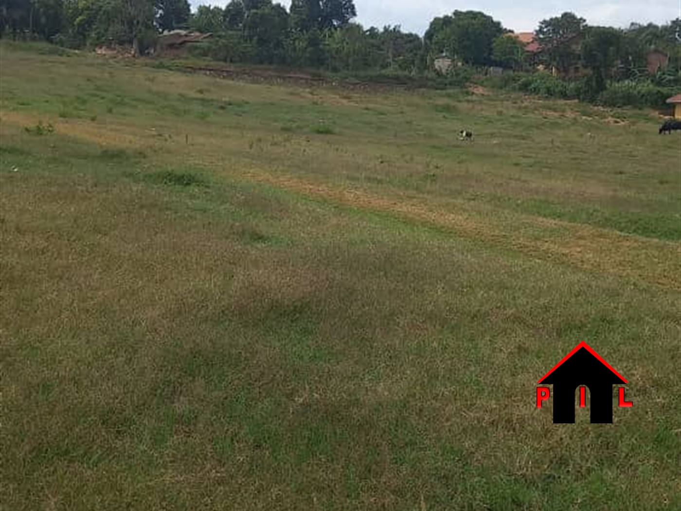 Agricultural Land for sale in Ziloobwe Luweero