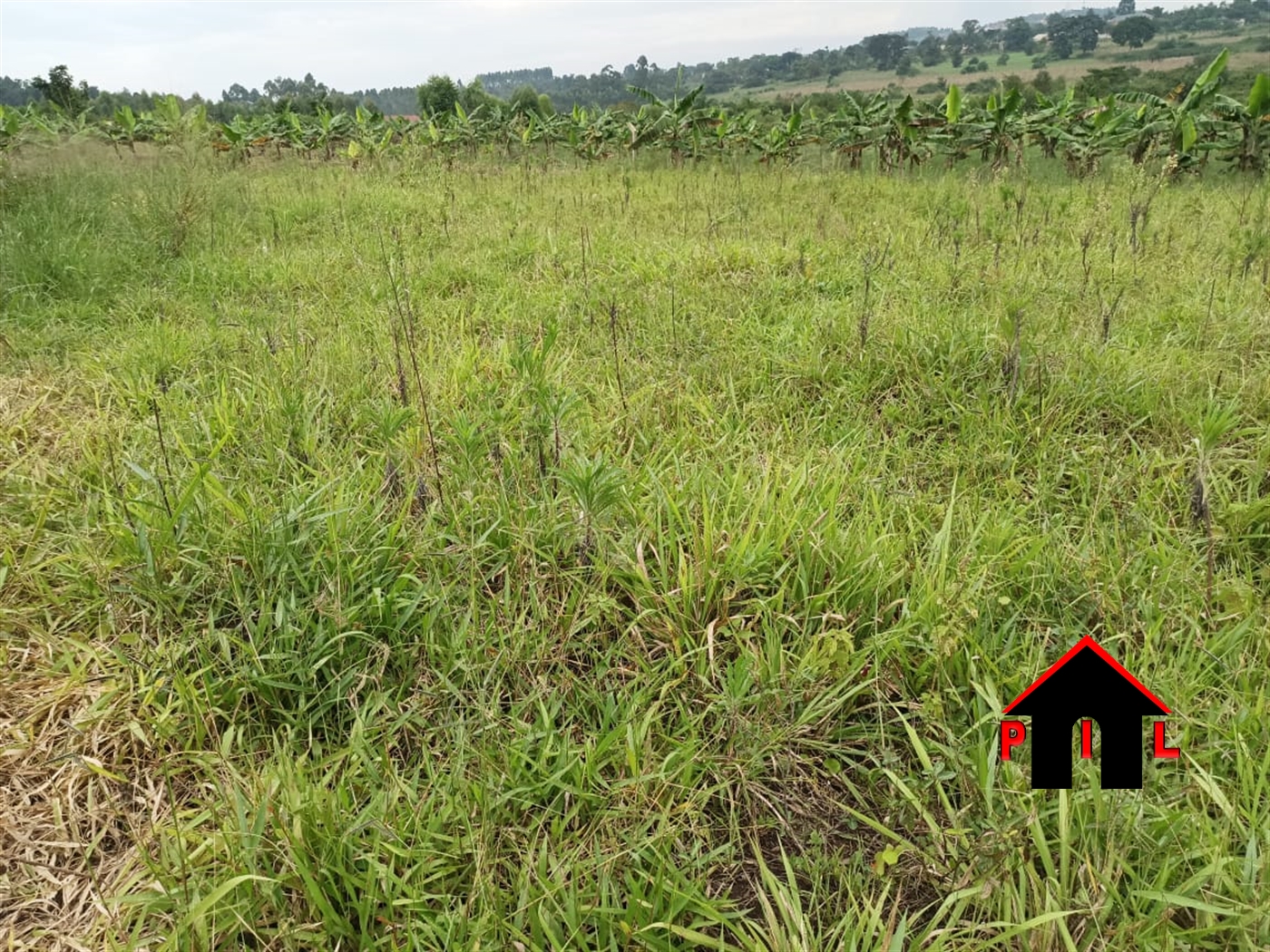 Residential Land for sale in Senero Luweero