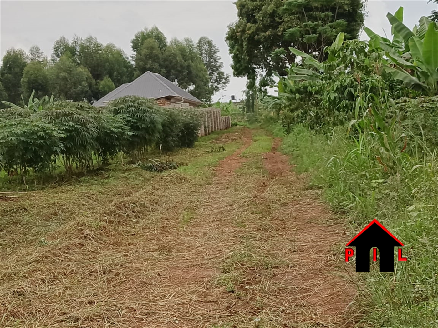 Residential Land for sale in Senero Luweero