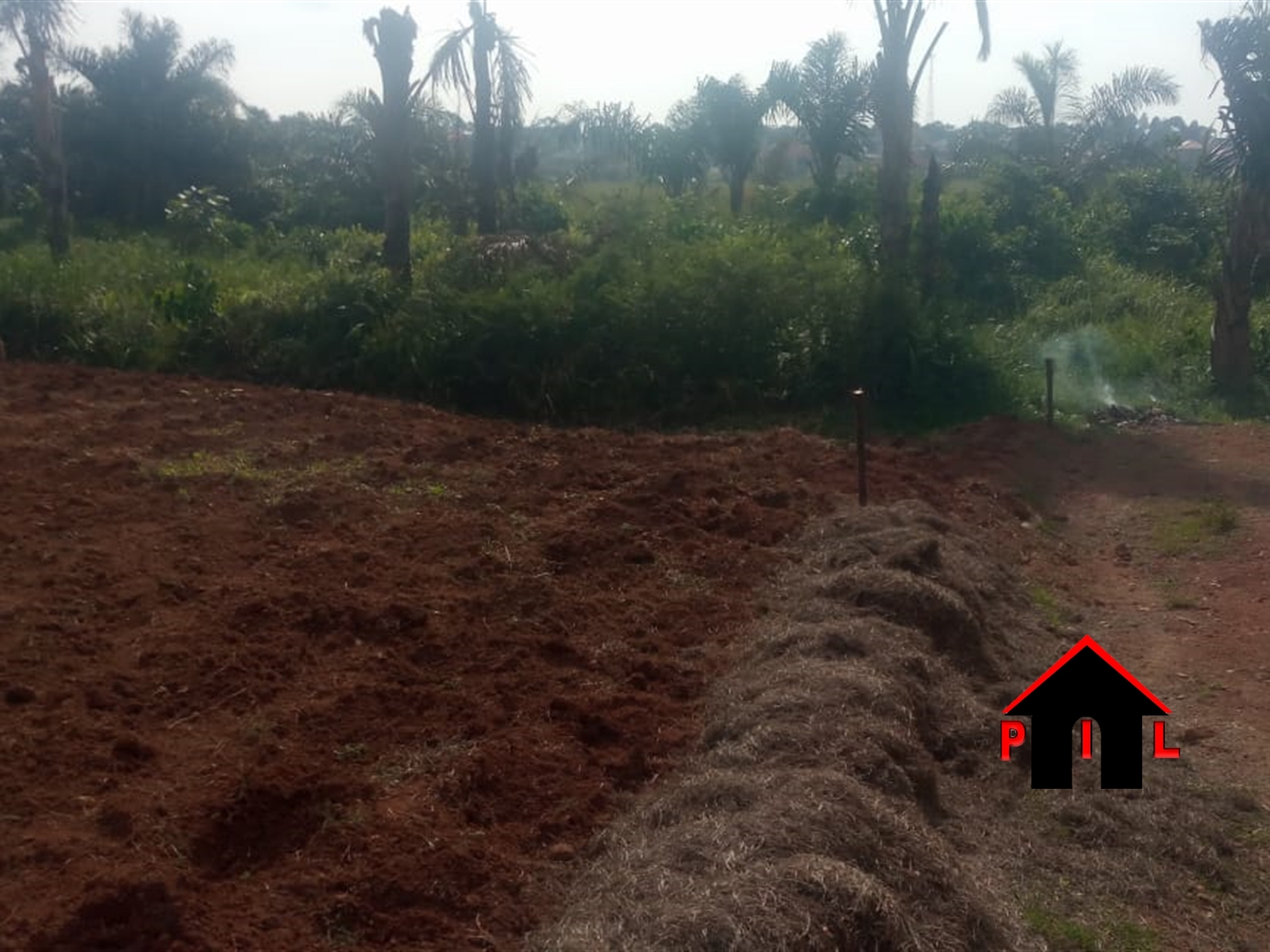 Agricultural Land for sale in Katogola Mubende