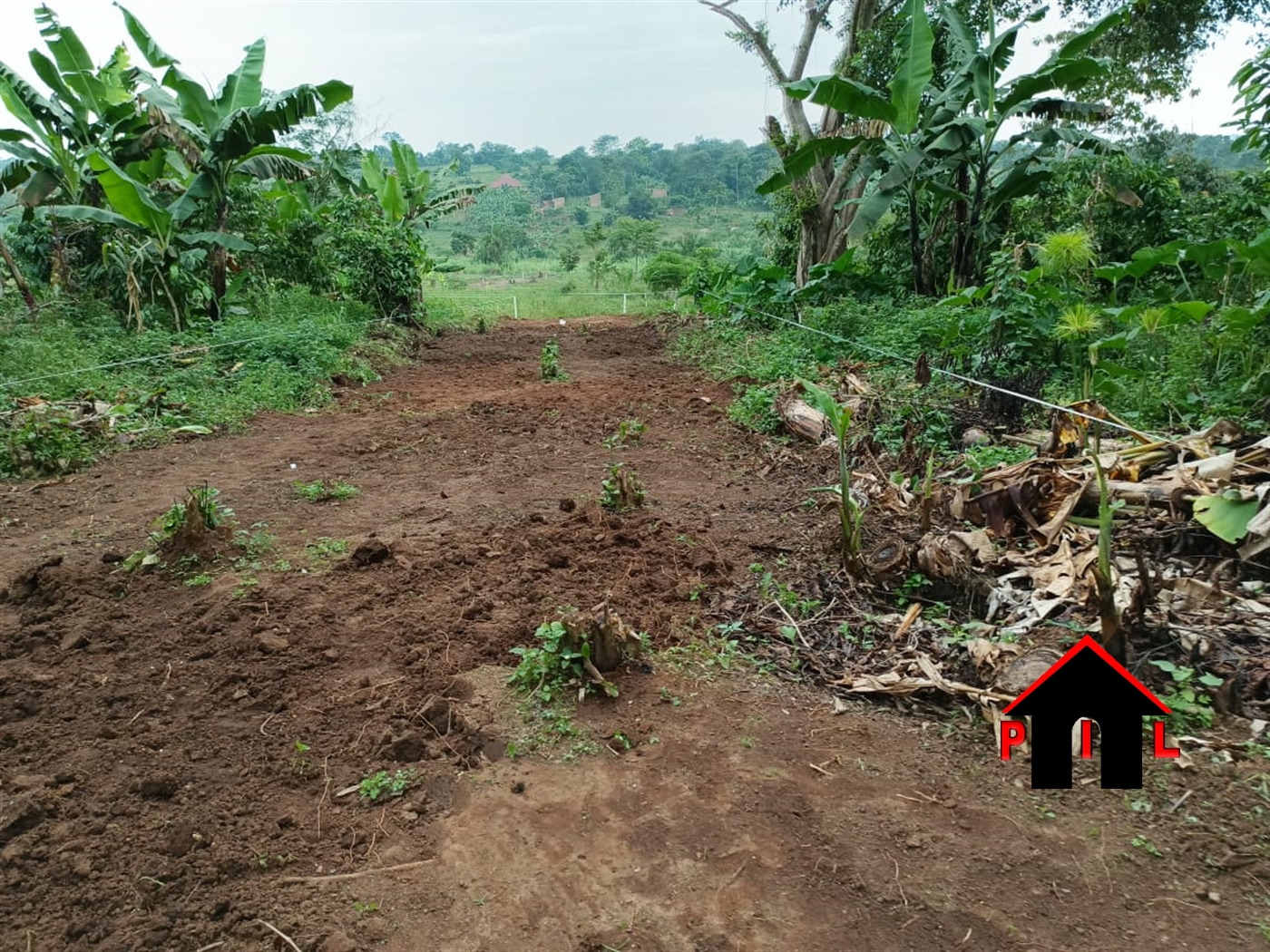 Agricultural Land for sale in Kireba Luweero