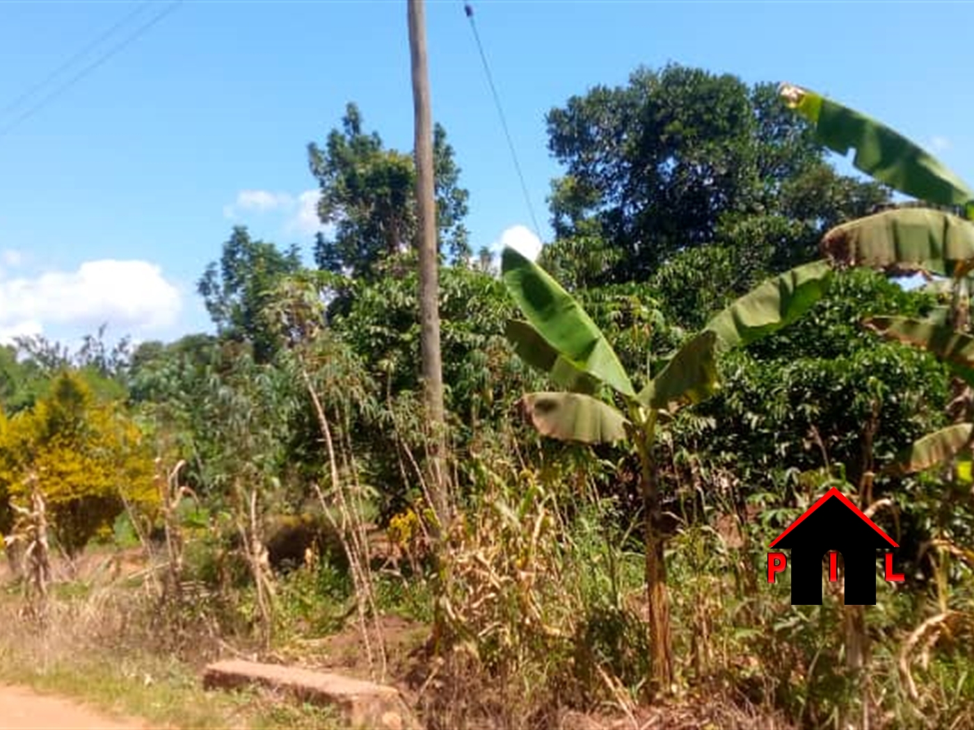 Commercial Land for sale in Kayanda Luweero