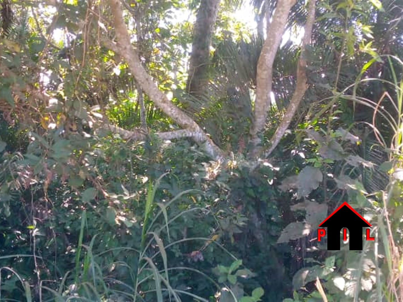 Commercial Land for sale in Kayanda Luweero