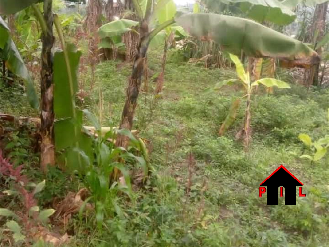 Agricultural Land for sale in Kanoni Gomba