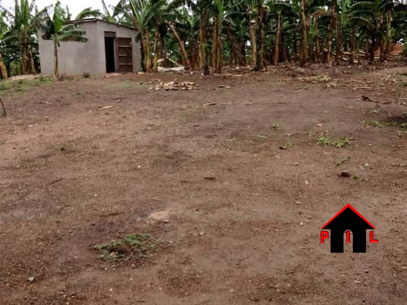 Farm for sale in Kassanda Mubende