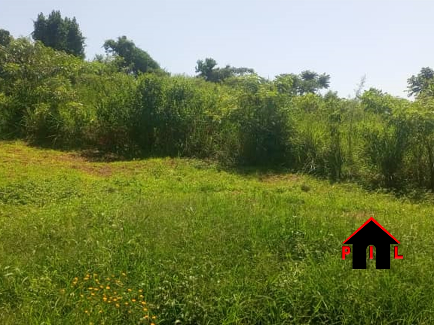 Commercial Land for sale in Namasubi Wakiso