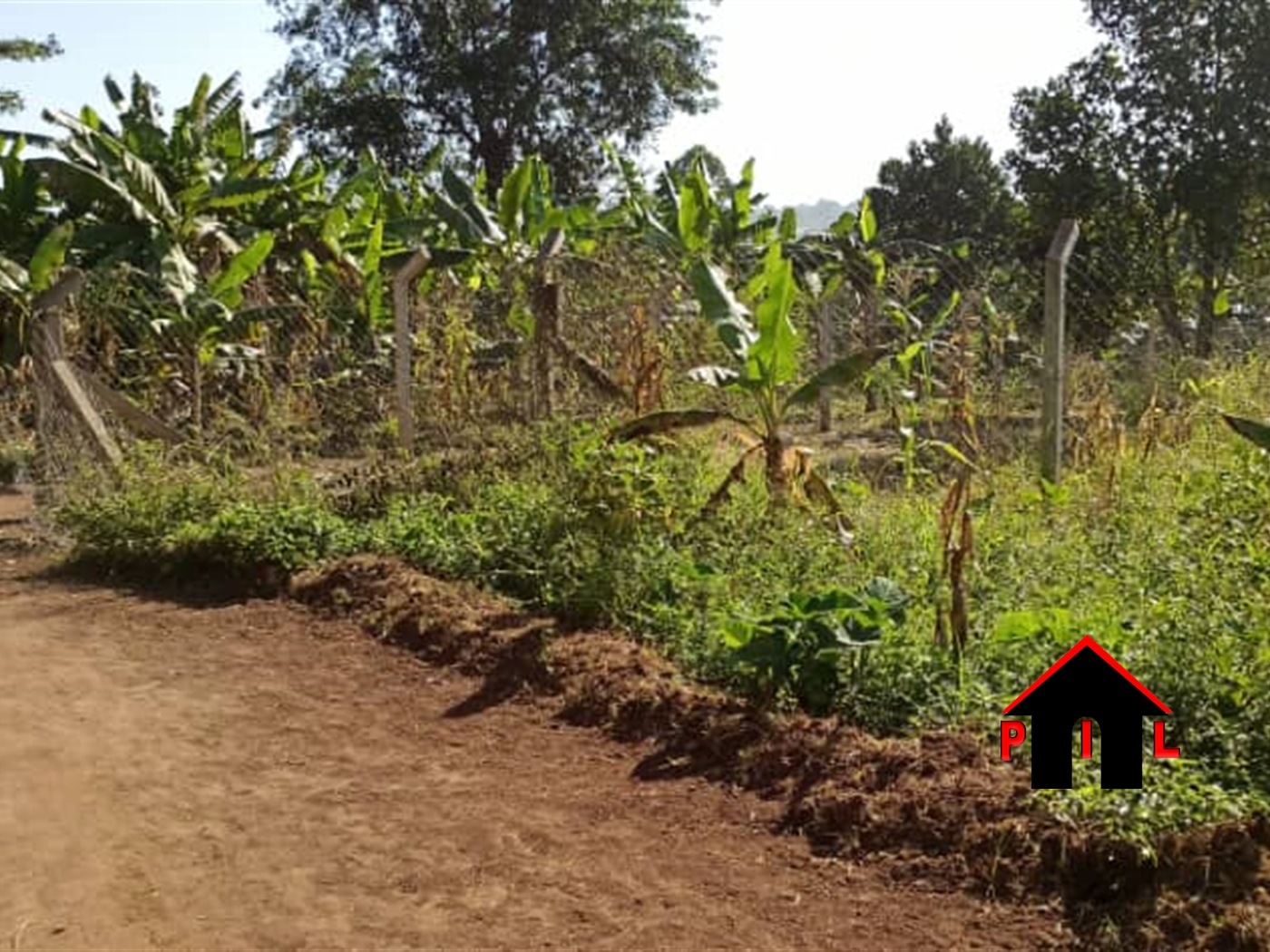Residential Land for sale in Misindye Mukono