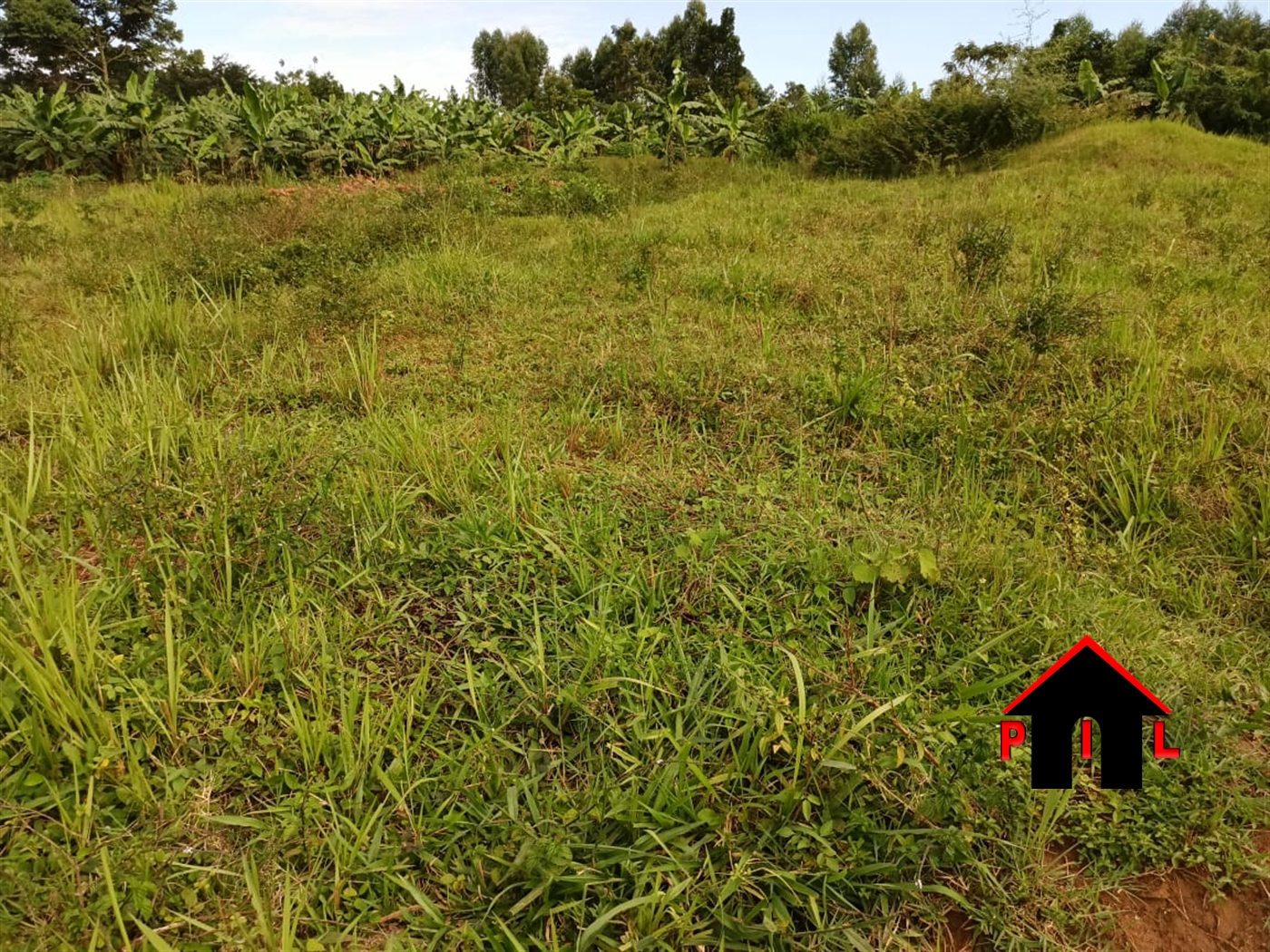 Agricultural Land for sale in Kibibi Butambala