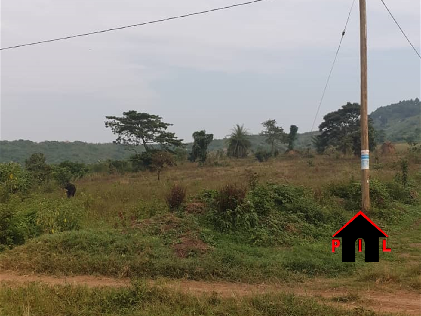 Commercial Land for sale in Namayumba Wakiso