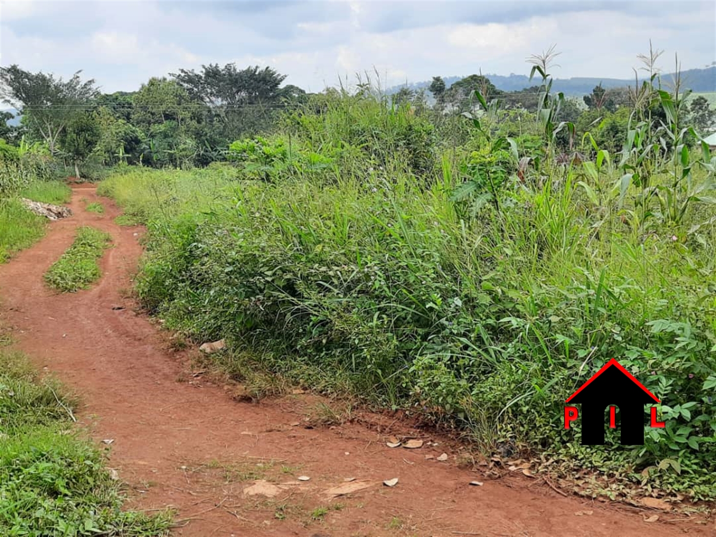 Agricultural Land for sale in Nambeera Luwero