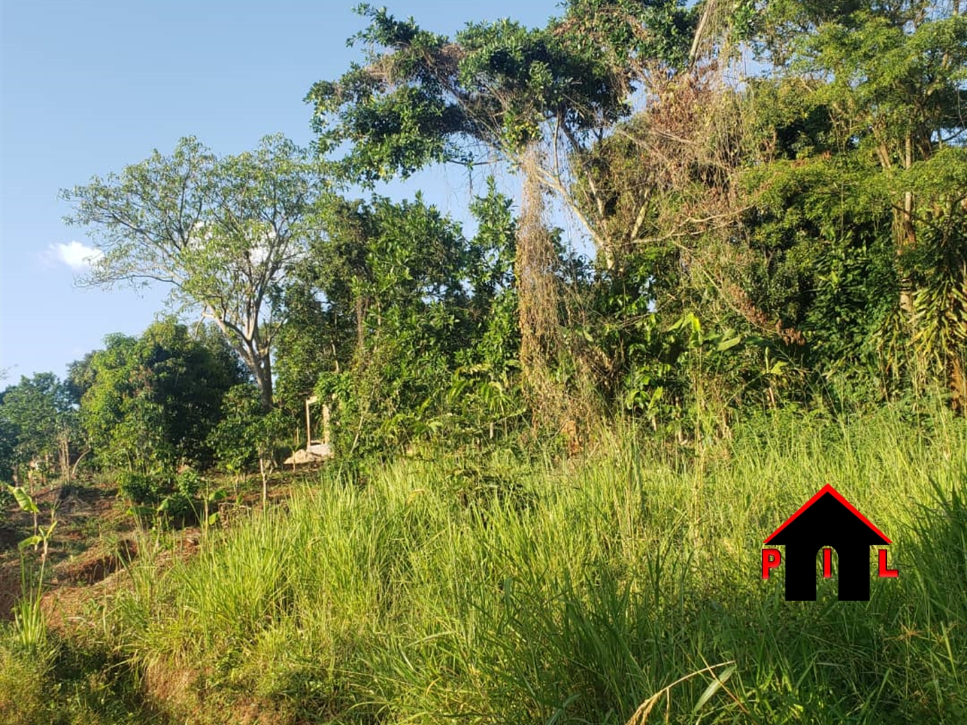 Agricultural Land for sale in Kalasa Wakiso