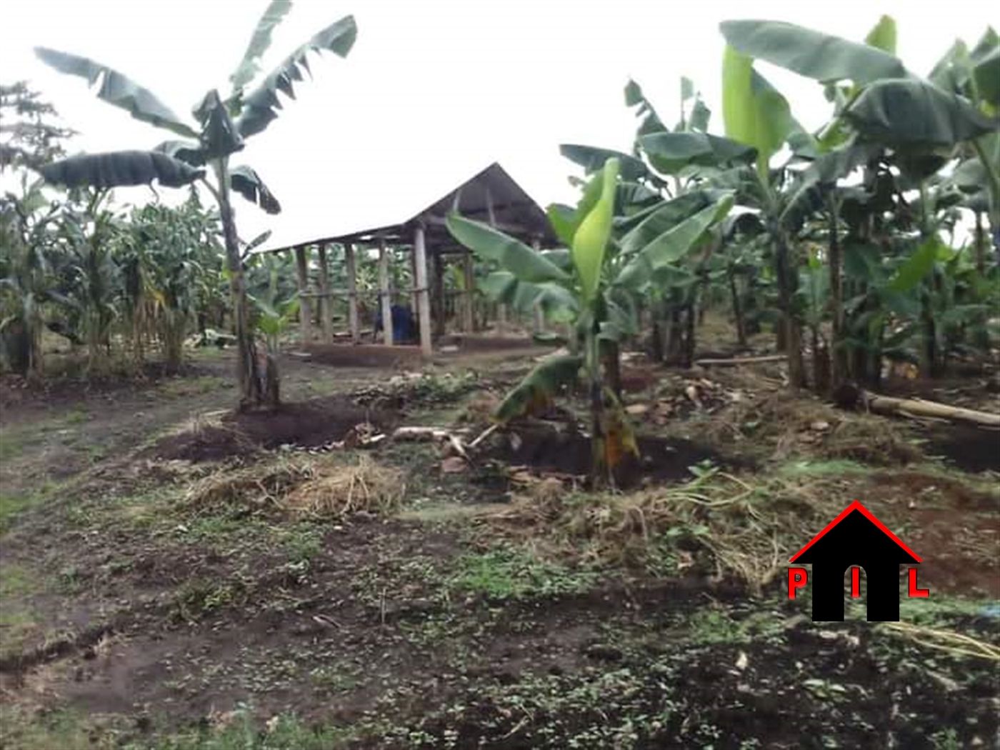Agricultural Land for sale in Kikonge Mityana