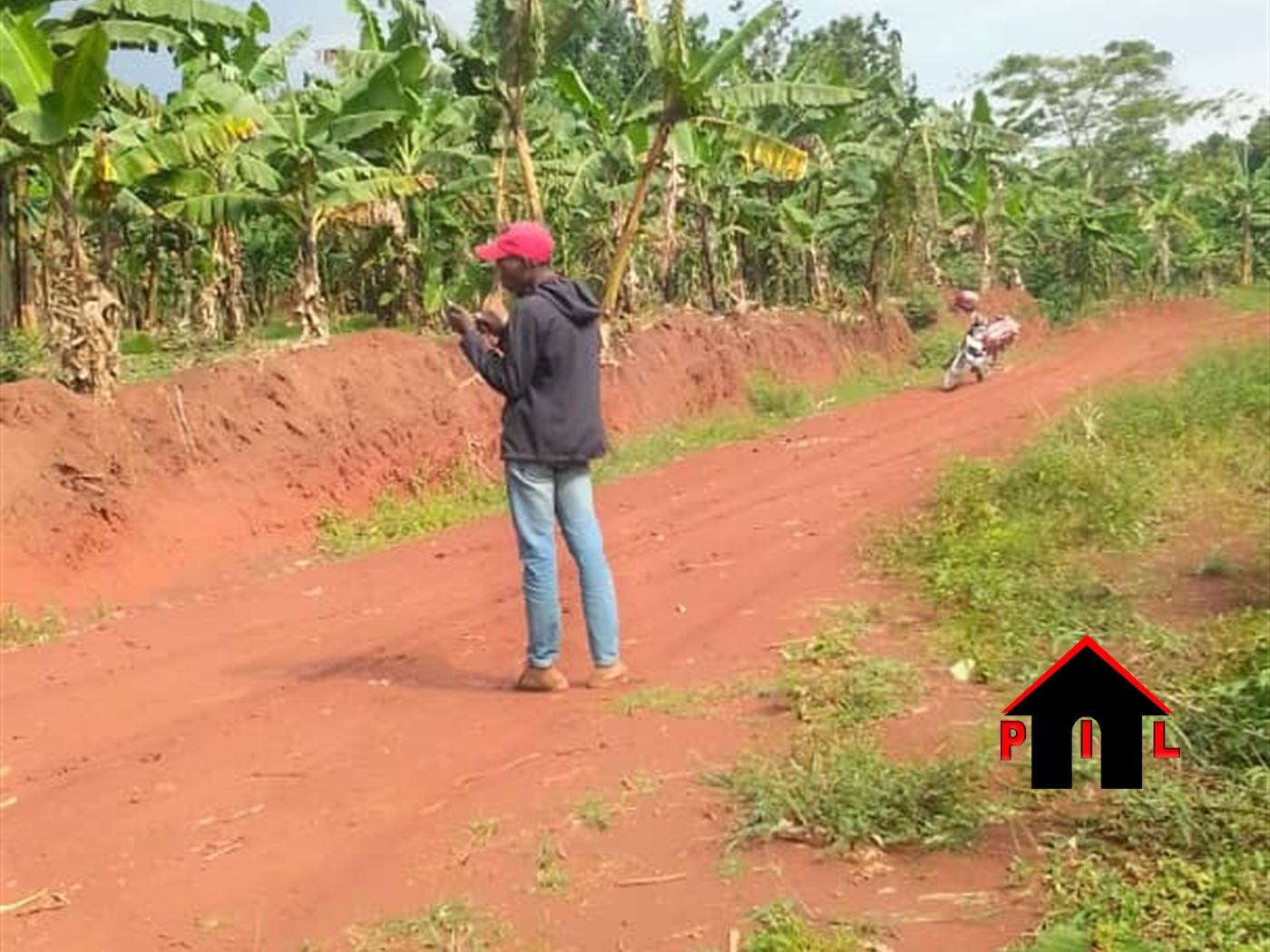 Agricultural Land for sale in Bulungu Kalungu