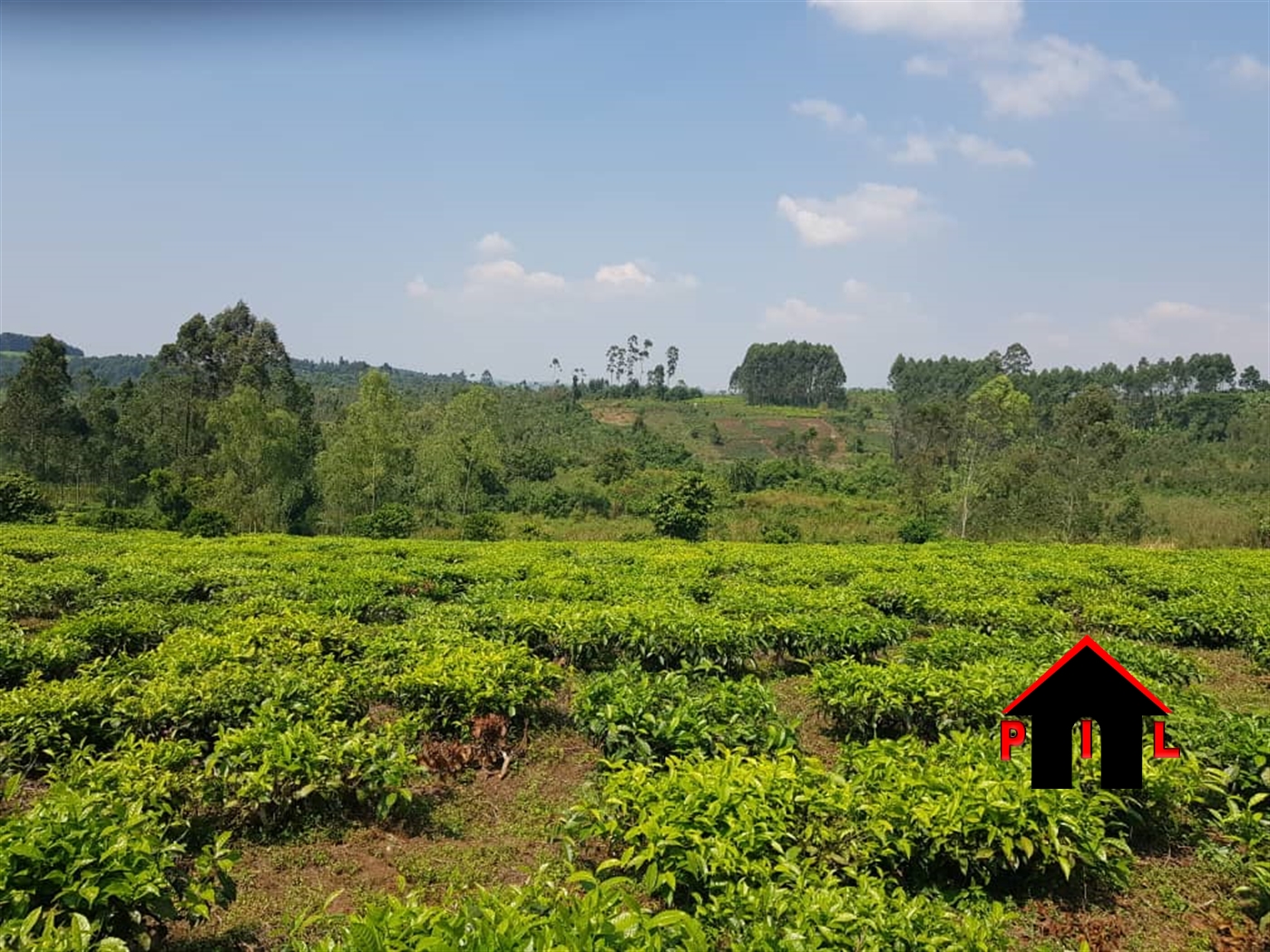 Agricultural Land for sale in Kiamara Kabarole