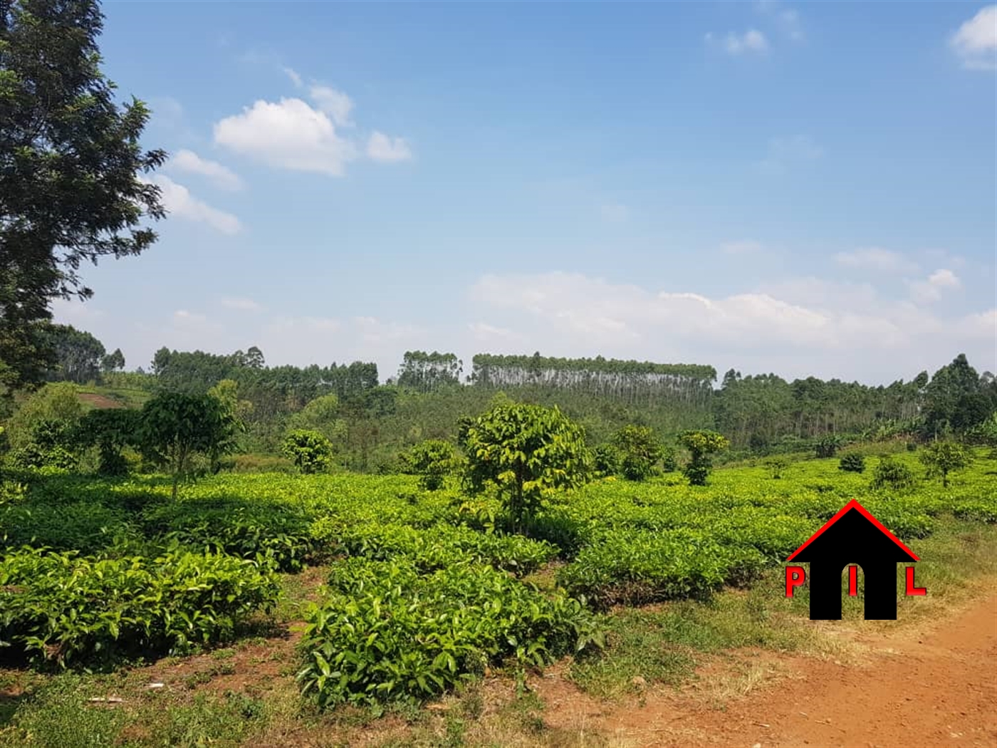 Agricultural Land for sale in Kiamara Kabarole