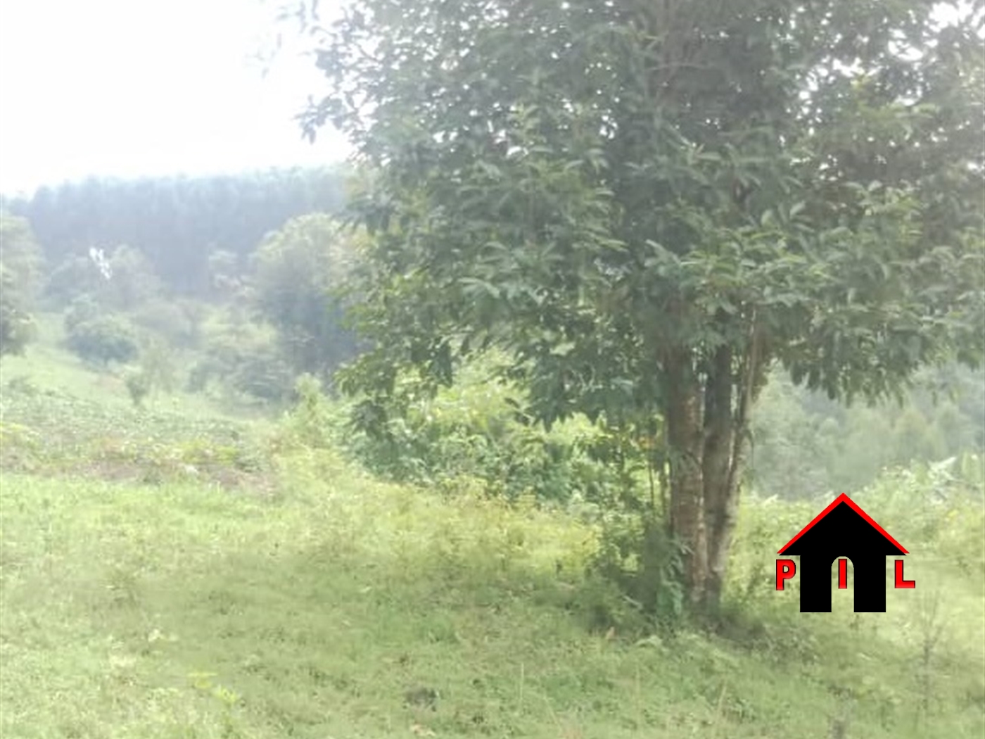 Agricultural Land for sale in Lukaya Kalungu