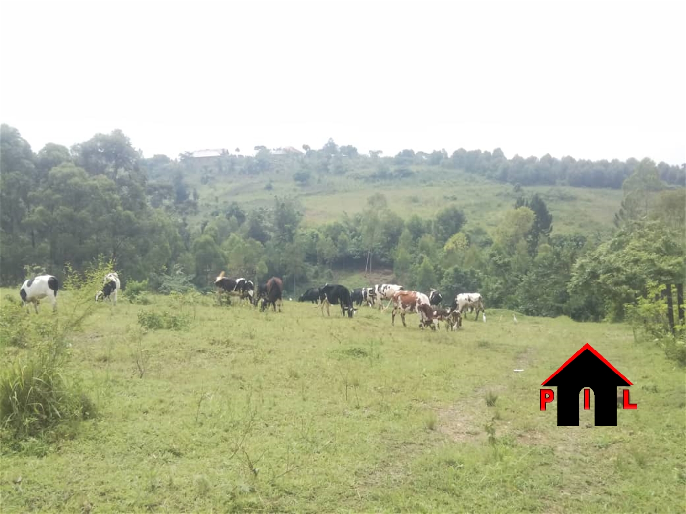 Commercial Land for sale in Buwambo Wakiso