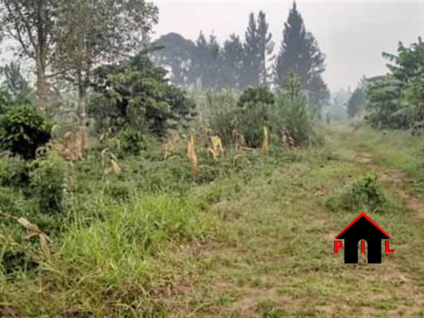 Residential Land for sale in Bukeelele Mukono