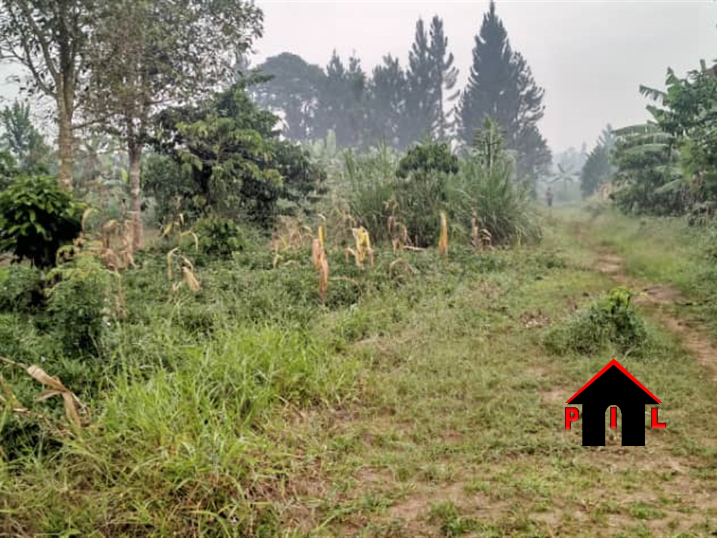 Residential Land for sale in Bukeelele Mukono