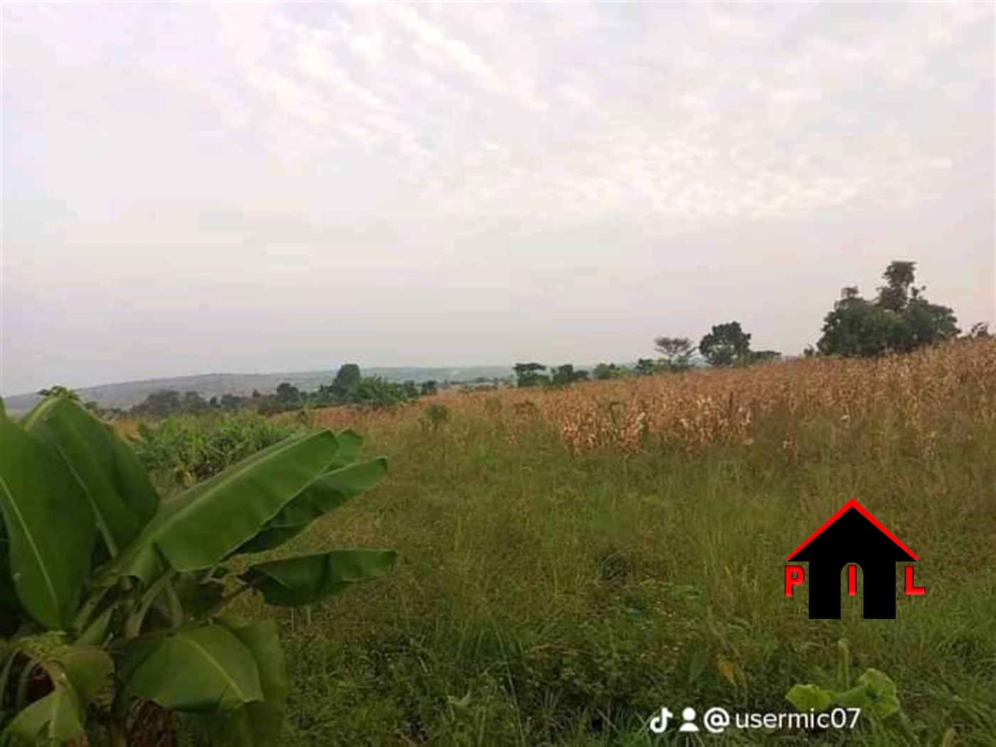 Agricultural Land for sale in Kabwoya Kibuube