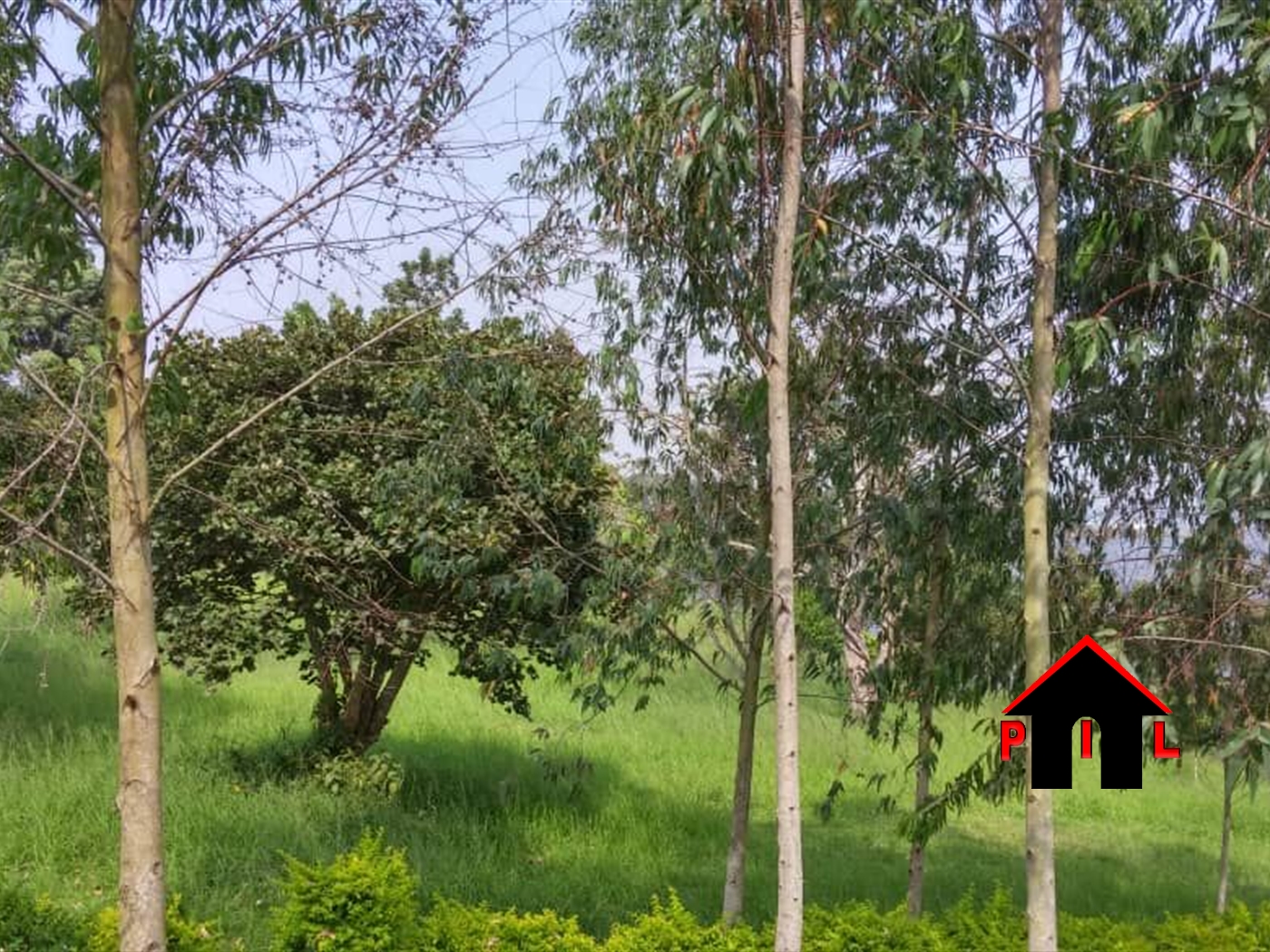 Agricultural Land for sale in Biseruka Hoima