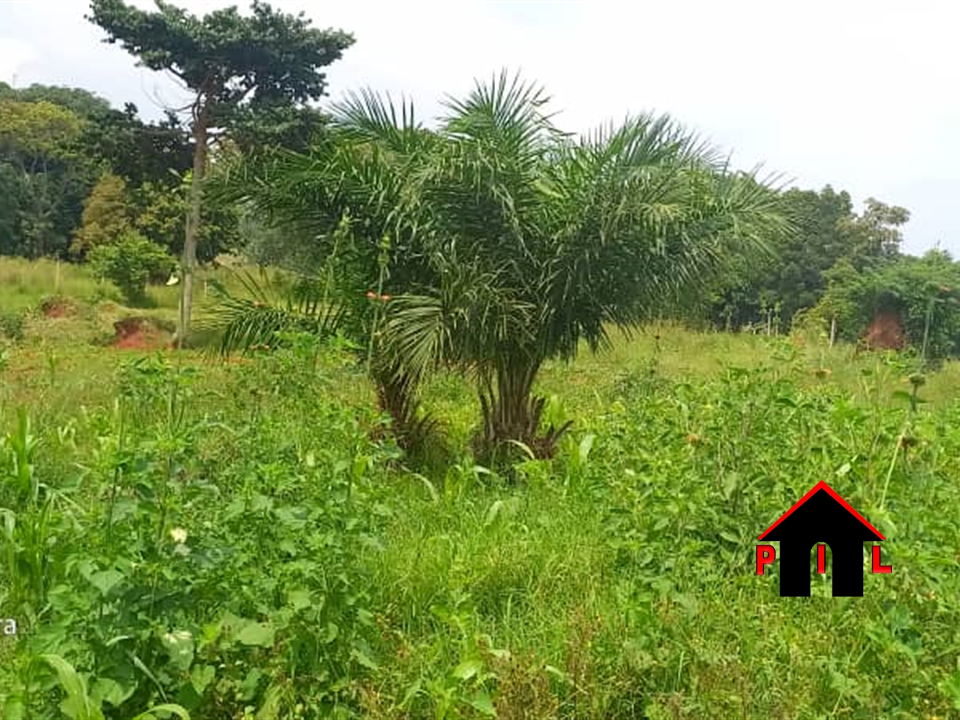Commercial Land for sale in Kigo Wakiso