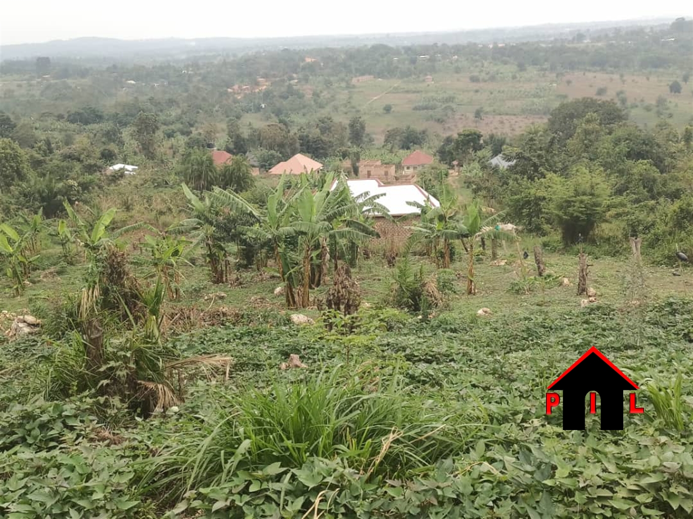 Residential Land for sale in Kalanamu Luweero