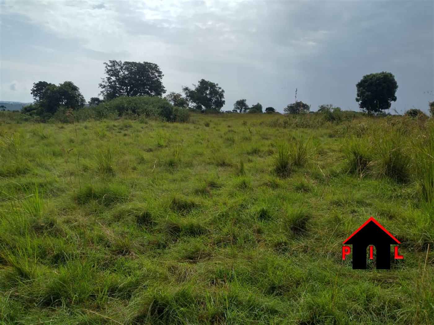 Farm for sale in Nkokonjeru Buyikwe
