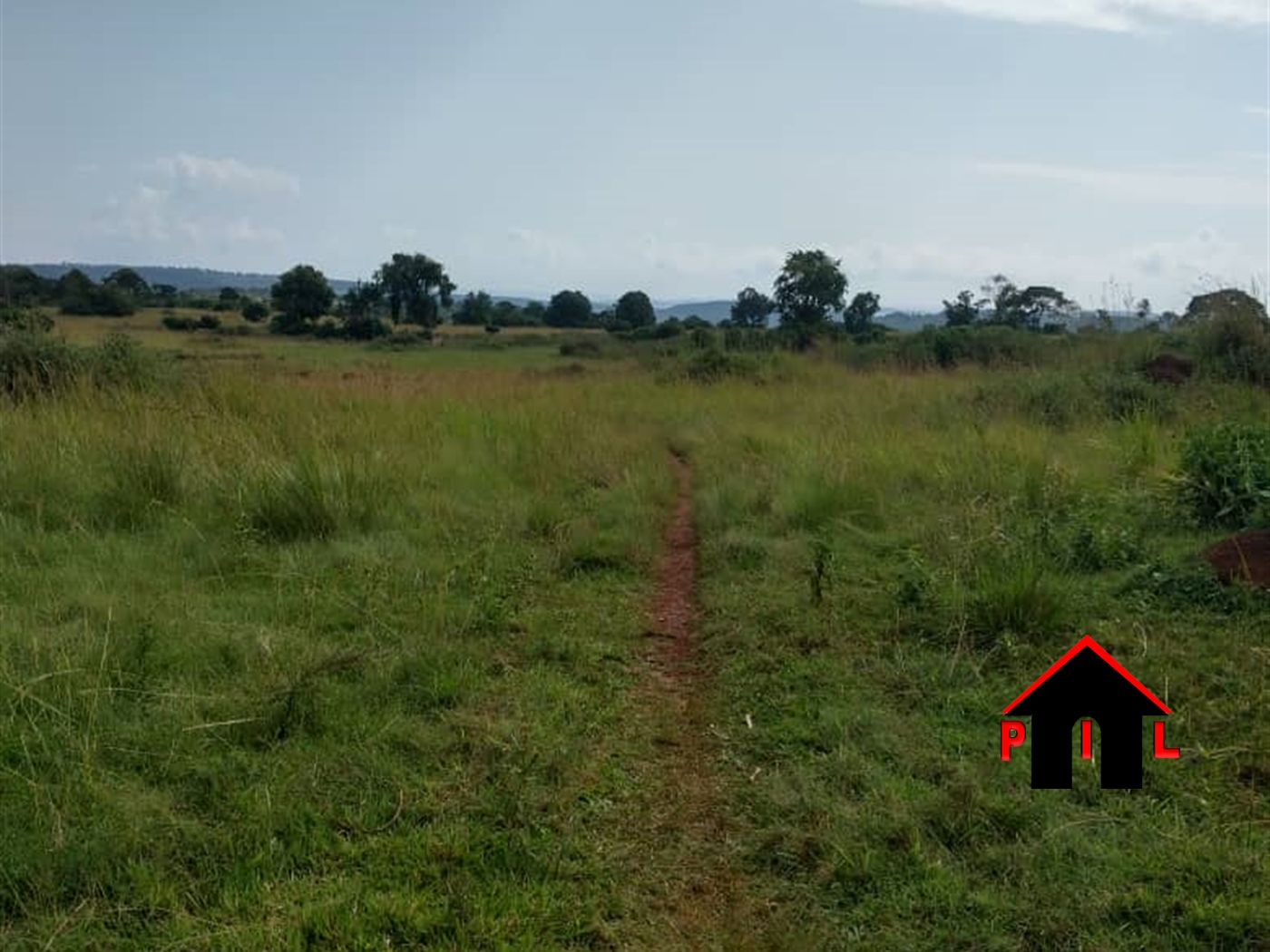 Farm for sale in Nkokonjeru Buyikwe