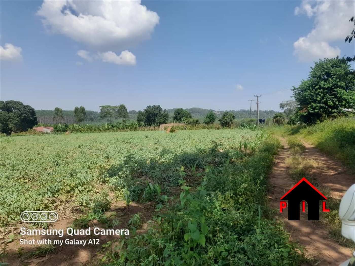 Agricultural Land for sale in Mpoma Mukono
