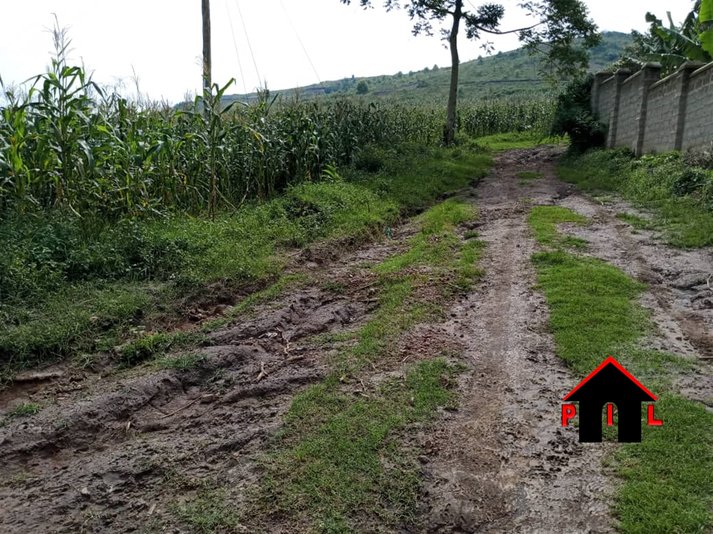 Residential Land for sale in Bujuuko Mpigi