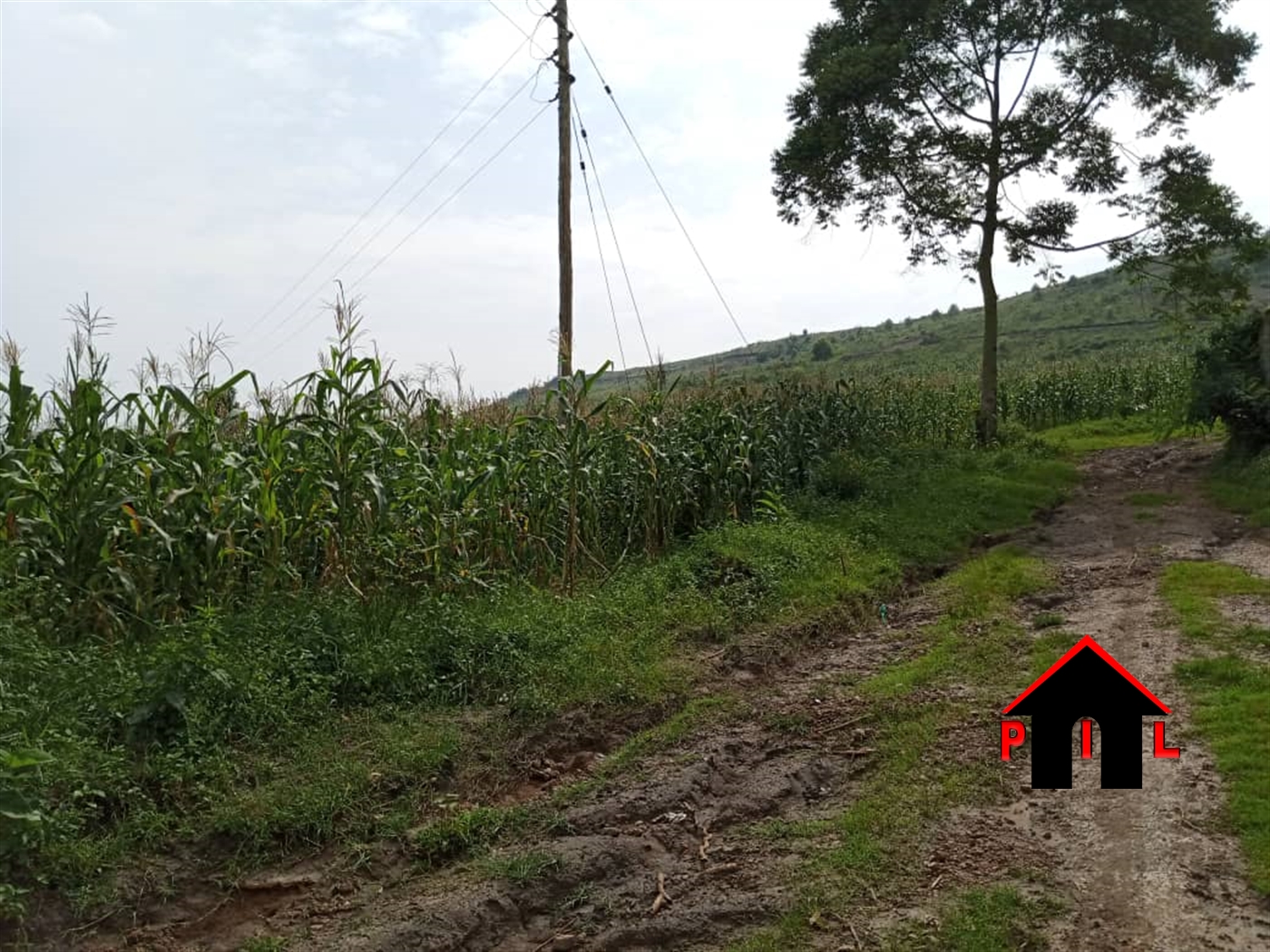 Residential Land for sale in Bujuuko Mpigi