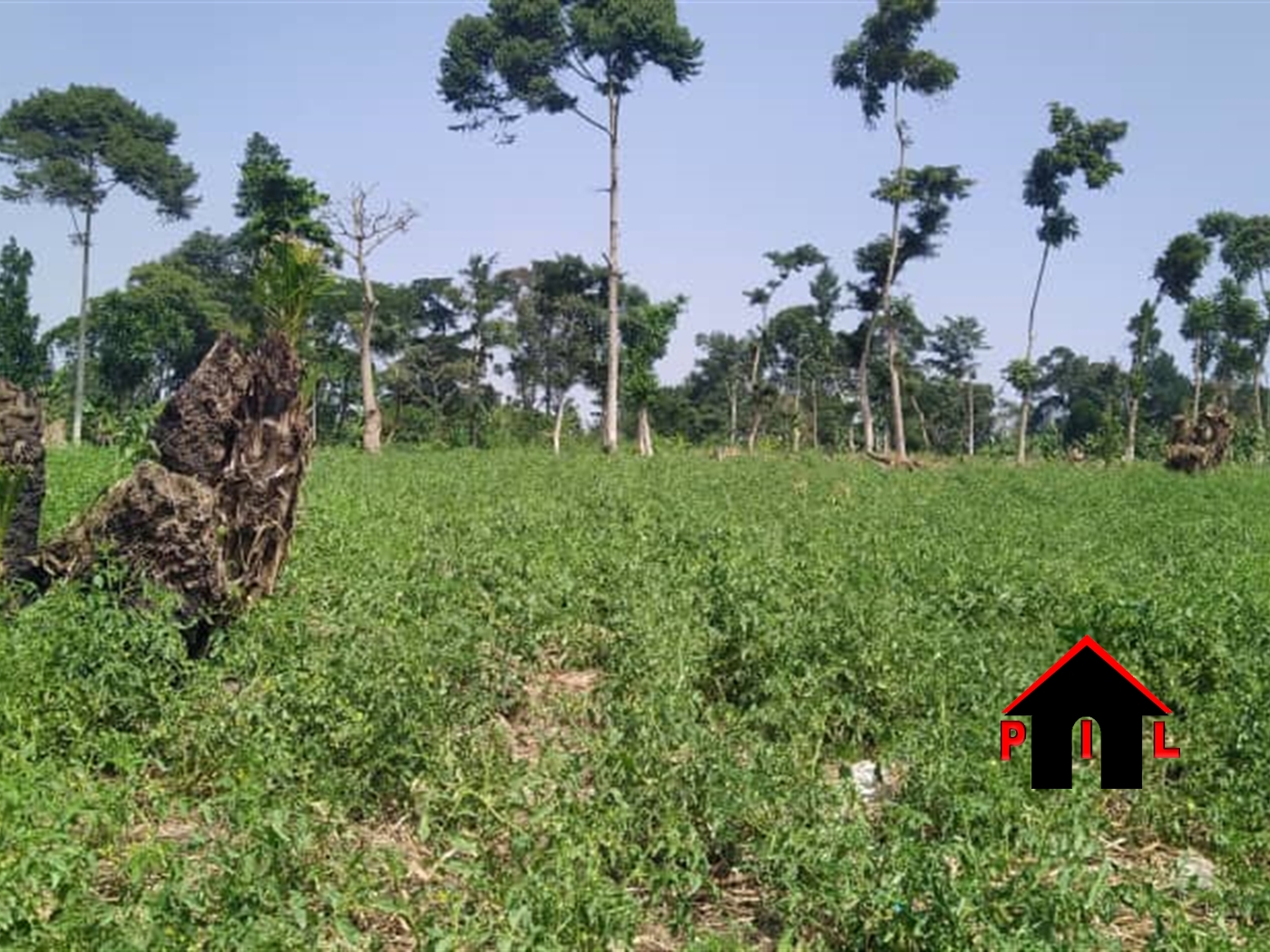 Agricultural Land for sale in Mawale Luweero