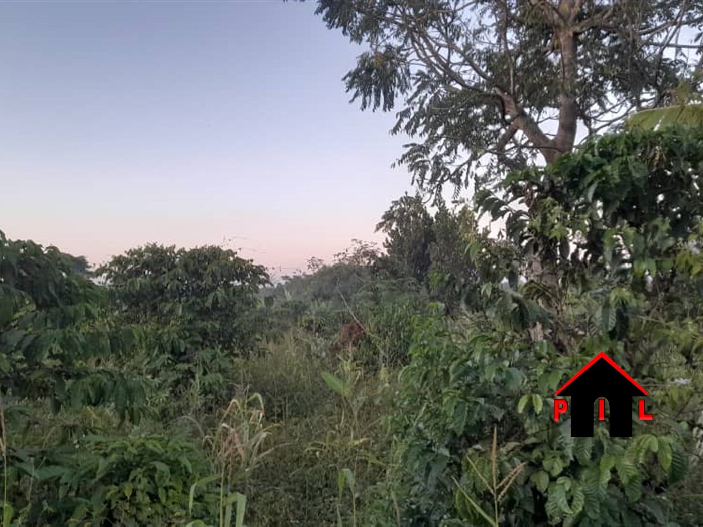 Agricultural Land for sale in Nkondo Luweero