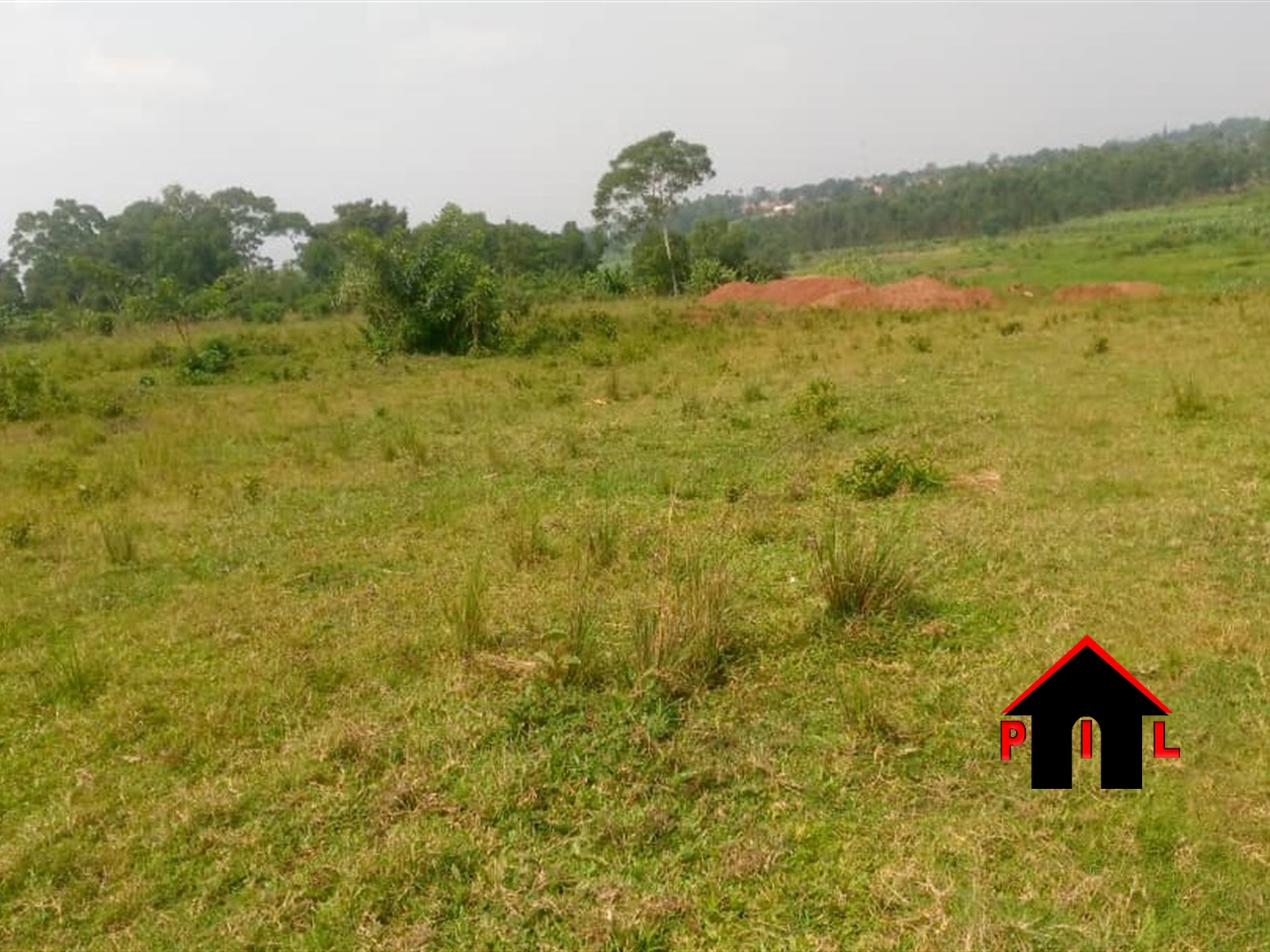 Farm for sale in Kalwana Mubende